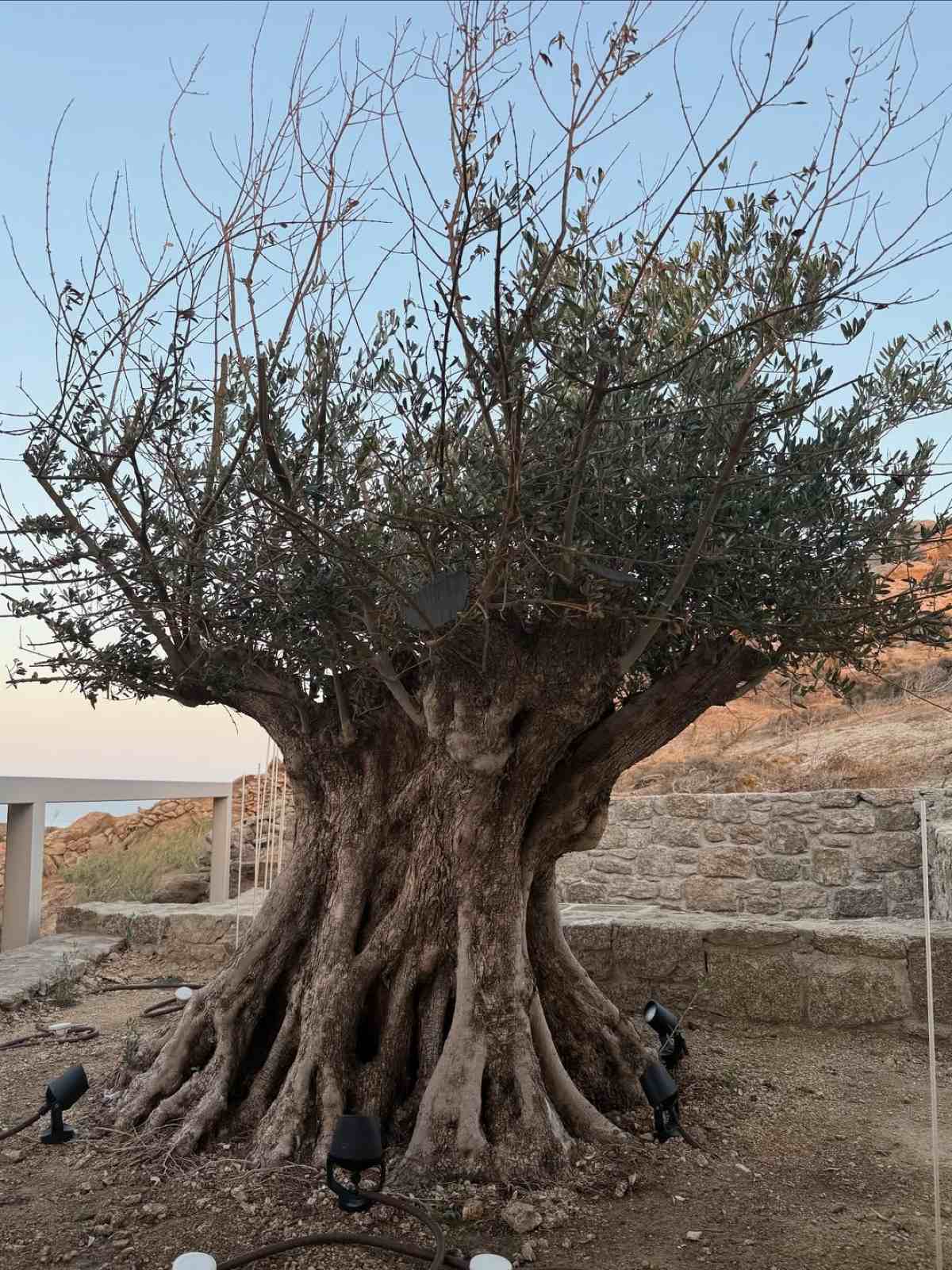 Ο Κωνσταντίνος Αργυρός στη Μύκονο