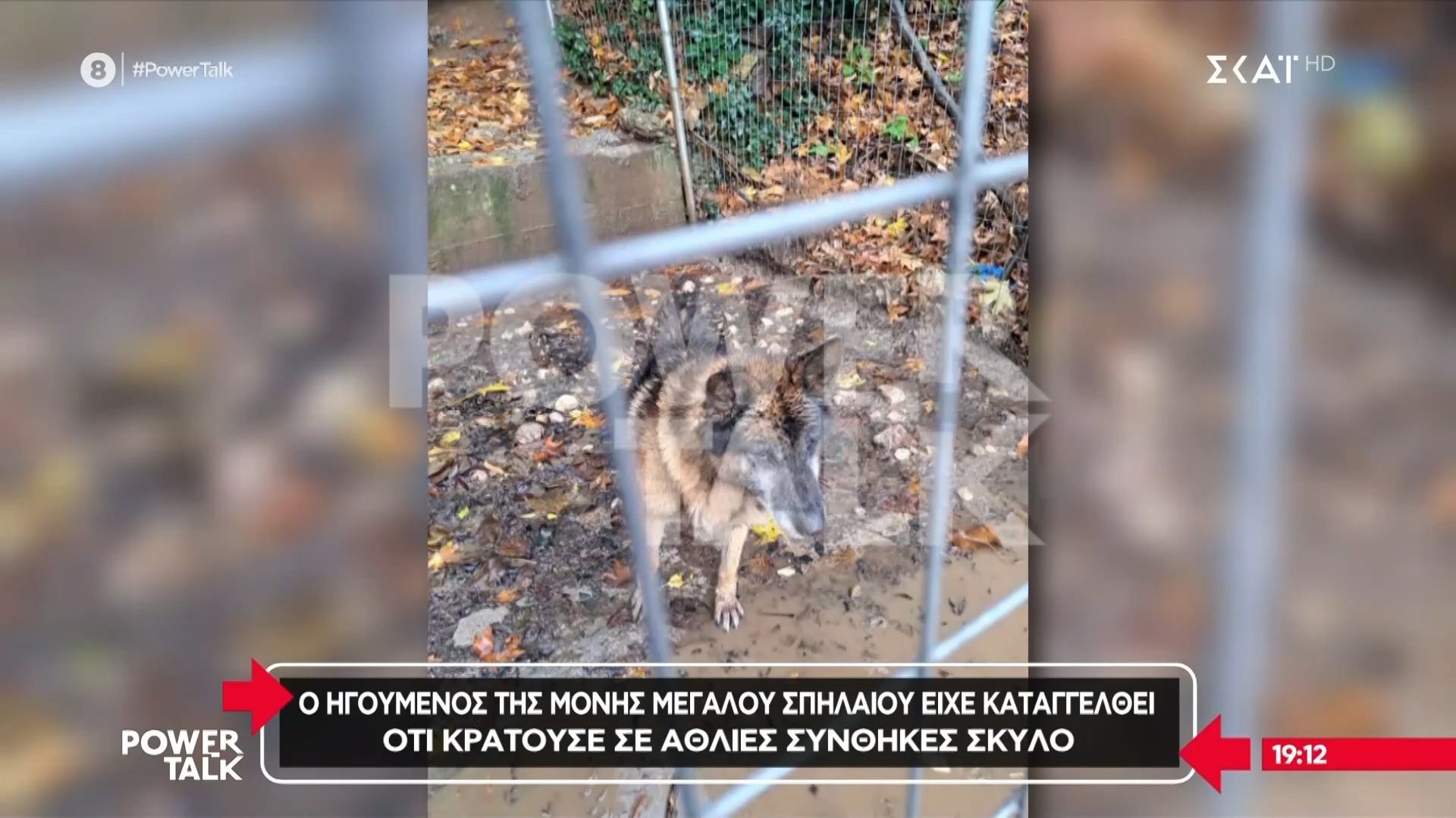 moni-megaloy-spilaioy-o-igoymenos-eiche-kataggelthei-oti-kratoyse-skylo-se-athlies-synthikes-fotografies-ntokoymenta-1757435670