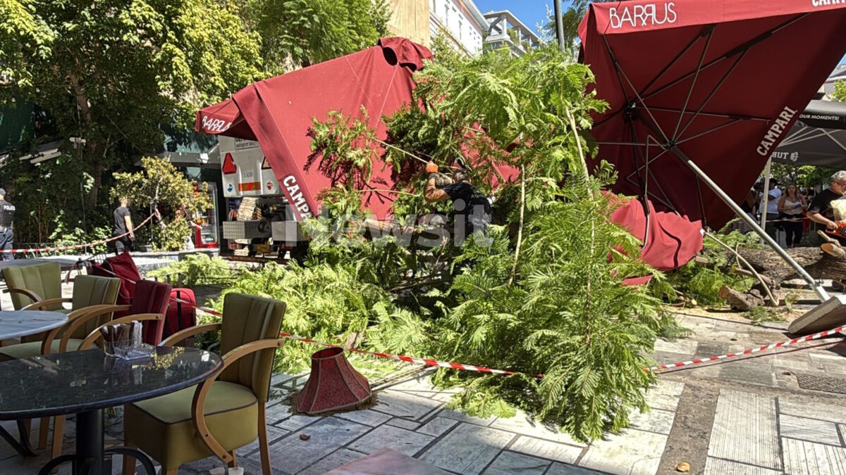 Κατάρρευση δέντρου στην Αθήνα: «Φοβηθήκαμε ότι η γυναίκα πέθανε, έβγαζε αίμα από το στόμα» 4 Πτώση δέντρου στην Αθήνα