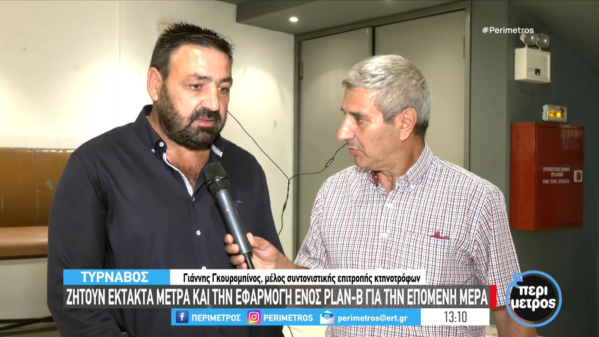 Θεσσαλία: Σε απόγνωση οι κτηνοτρόφοι- Η ευλογιά των προβάτων θερίζει τα κοπάδια τους