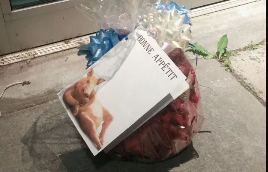 Γαλλία: Πάνω από πέντε κεφάλια χοίρων βρέθηκαν έξω από τζαμιά 2 Γαλλία: Πάνω από πέντε κεφάλια χοίρων βρέθηκαν έξω από τζαμιά