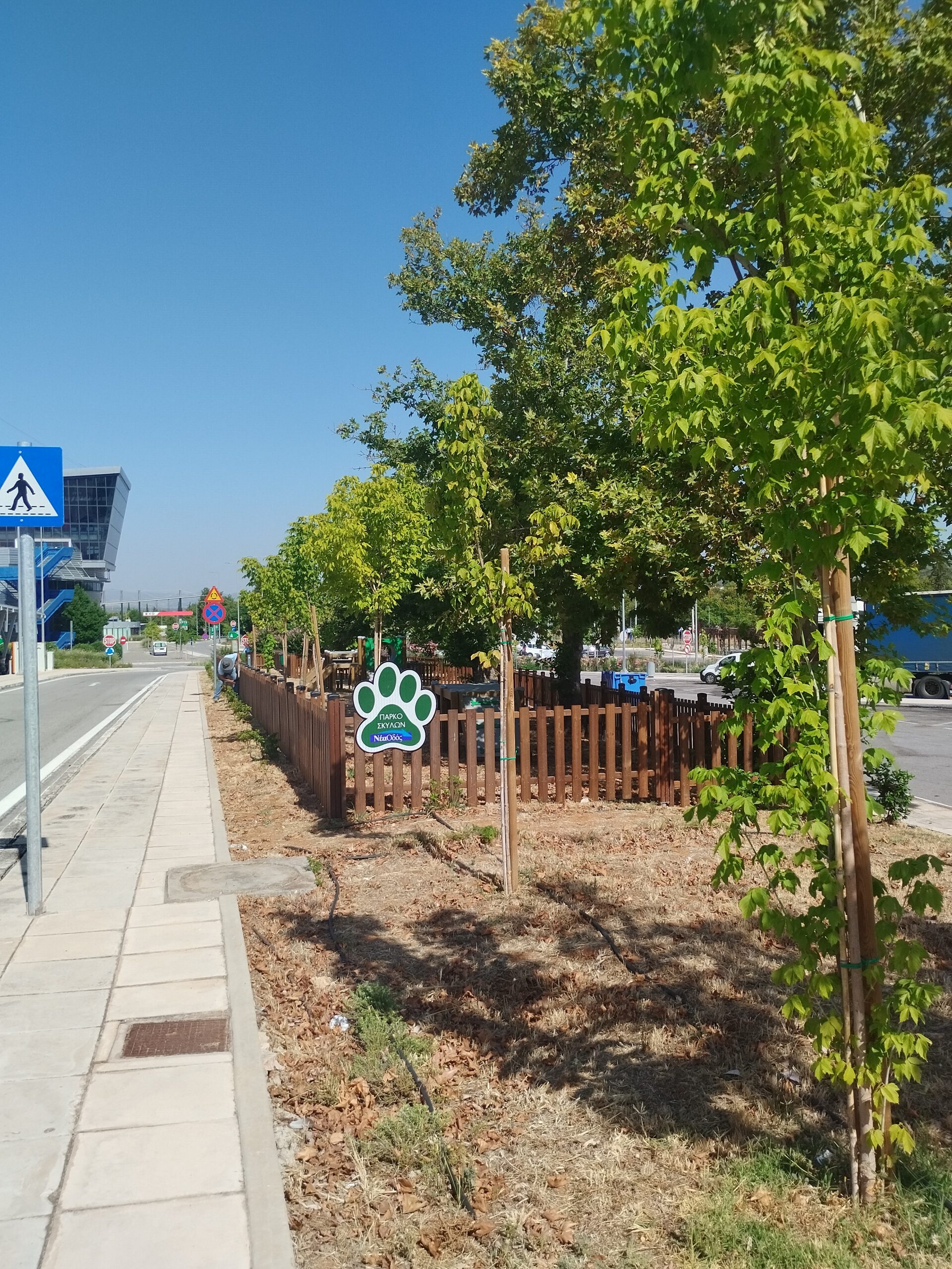 Ο ΣΕΙΡΙΟΣ ξαναγράφει την ιστορία του: Από τις μνήμες μιας γενιάς, στη φροντίδα των τετράποδων φίλων μας