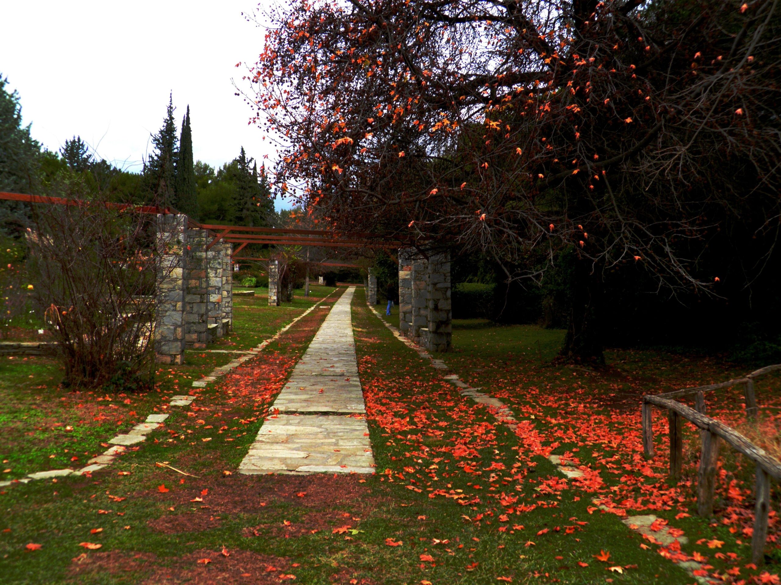 Διομήδειος Βοτανικός Κήπος