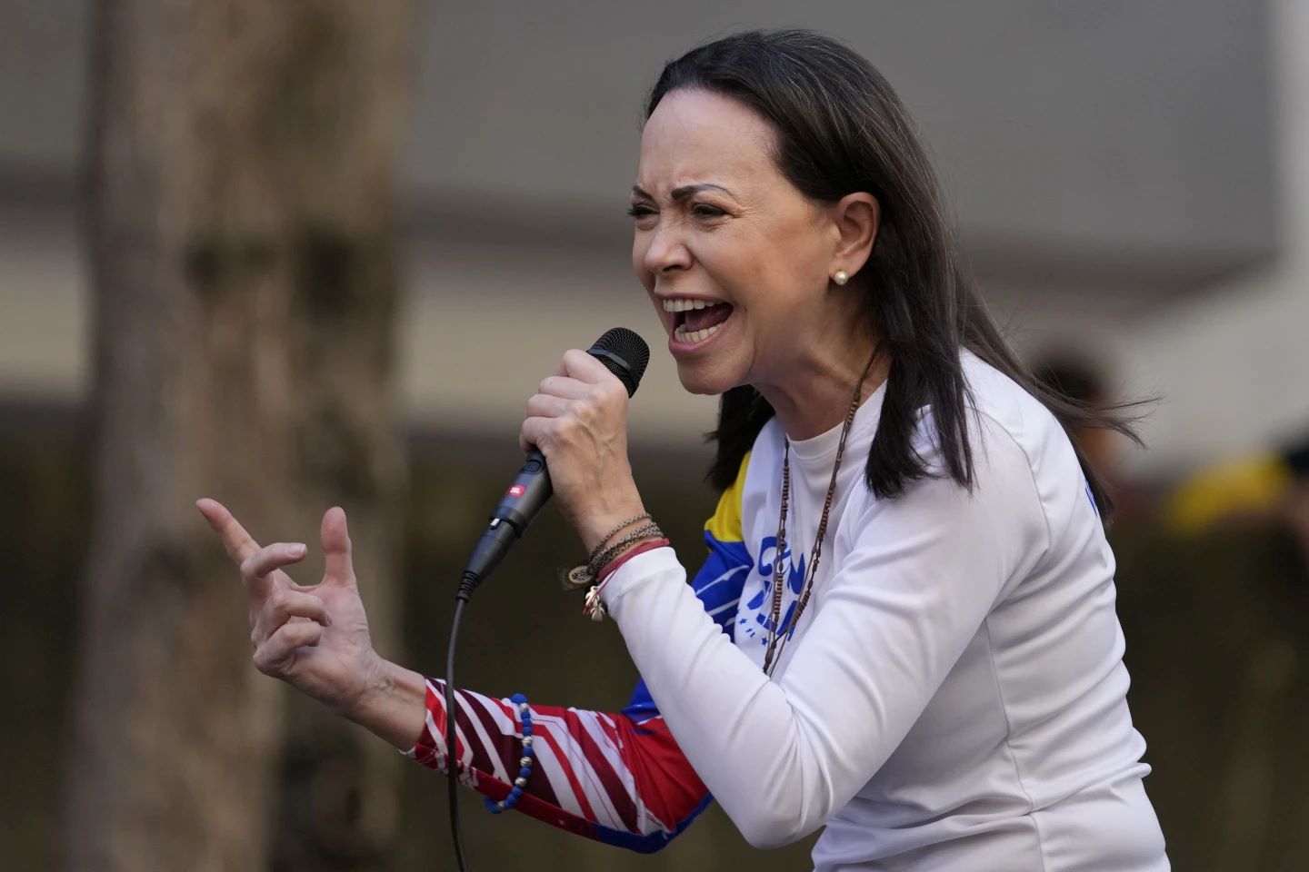 María Corina Machado: Η αντίπαλος του Μαδούρο που βραβεύτηκε με Νόμπελ Ειρήνης – Από την κρυψώνα της αγωνίζεται για τη Βενεζουέλα 4 María Corina Machado: Η αντίπαλος του Μαδούρο που βραβεύτηκε με Νόμπελ Ειρήνης – Από την κρυψώνα της αγωνίζεται για τη Βενεζουέλα