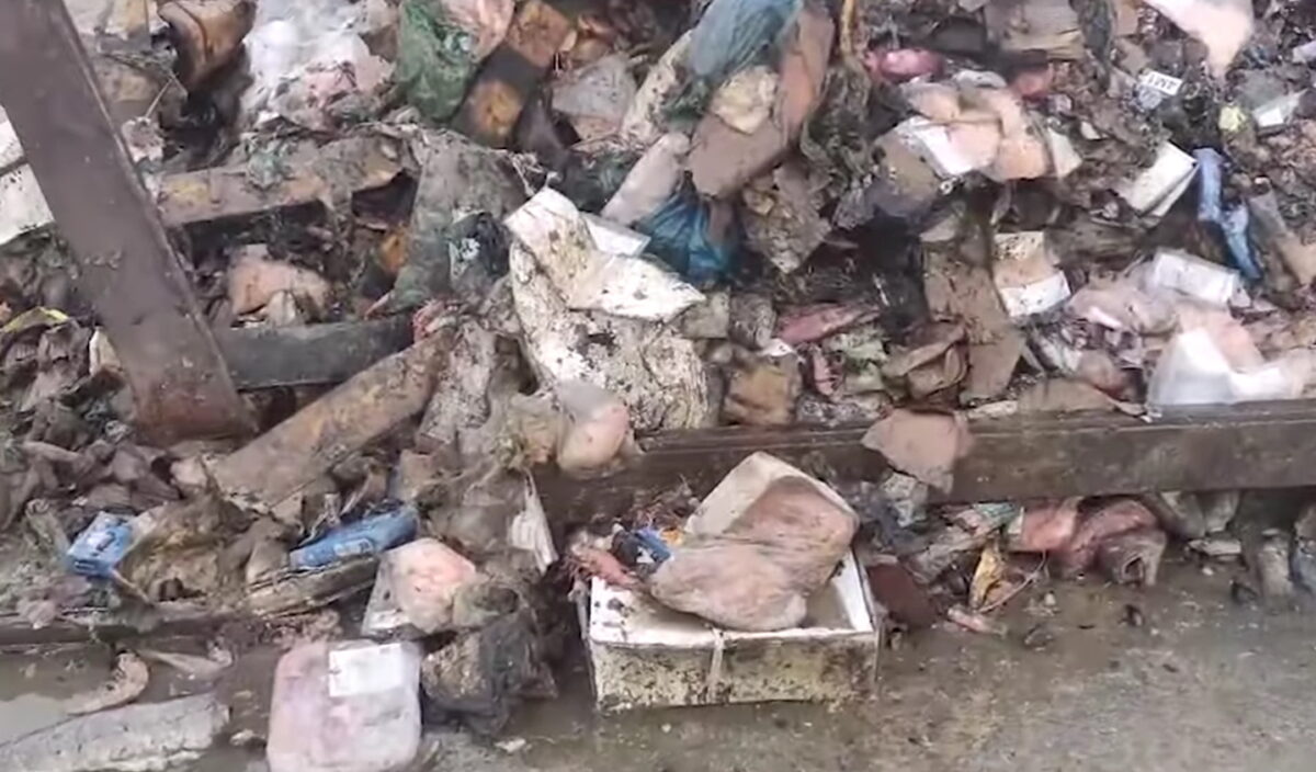 apovlita-grab-1200x704