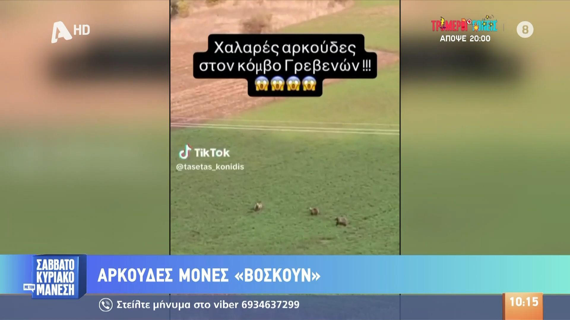 arkoydes-voskoyn-sta-grevena-1761470792