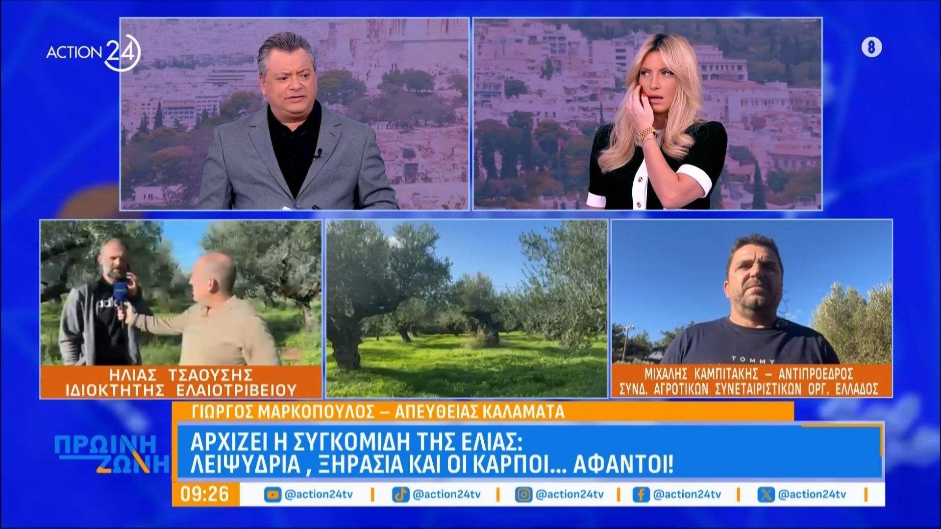 Συγκομιδή ελιάς: Λειψυδρία, ξηρασία & οι καρποί άφαντοι