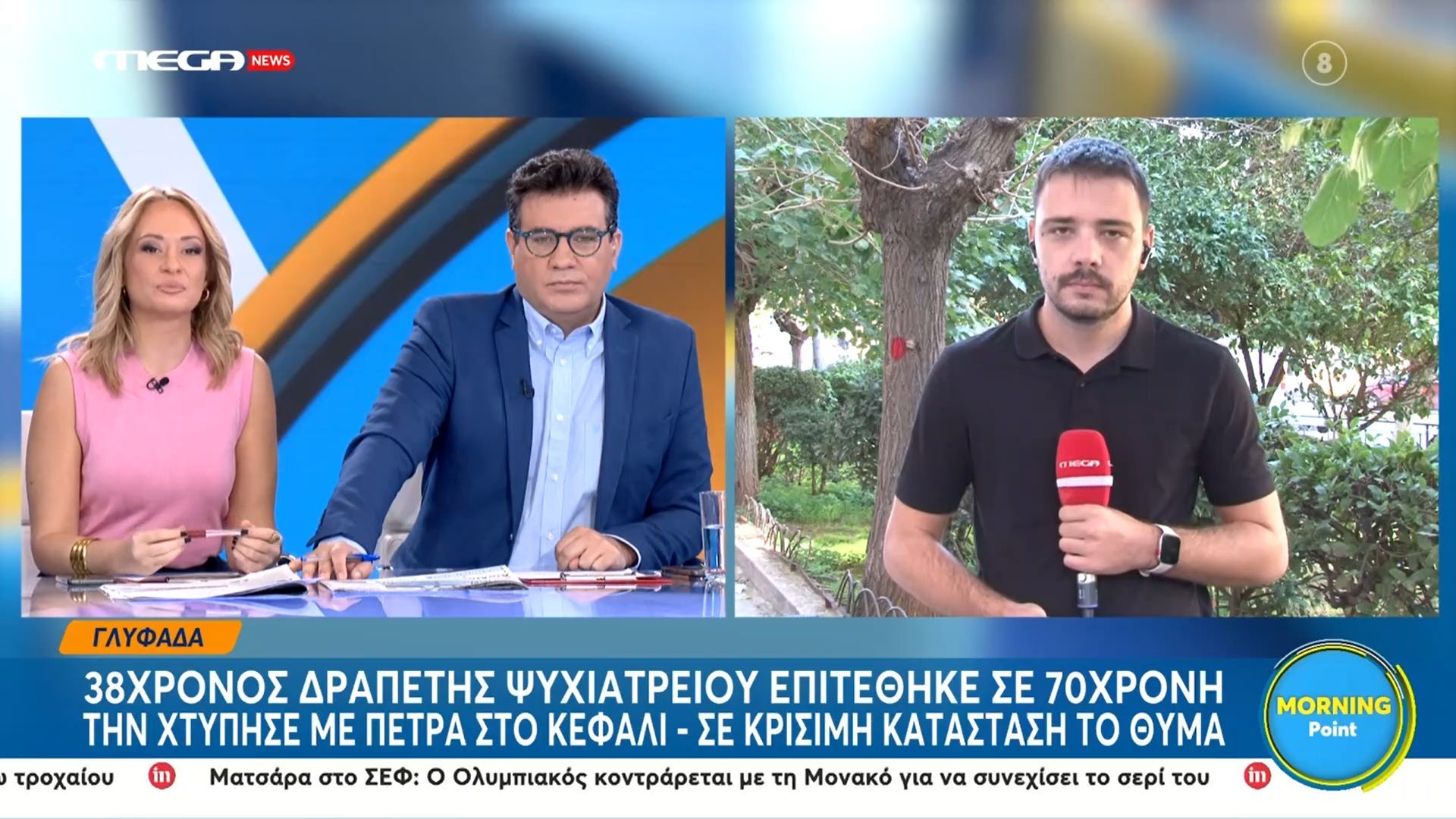 Δραπέτης ψυχιατρείου επιτέθηκε σε 70χρονη με πέτρα στο κεφάλι – Σε κρίσιμη κατάσταση το θύμα