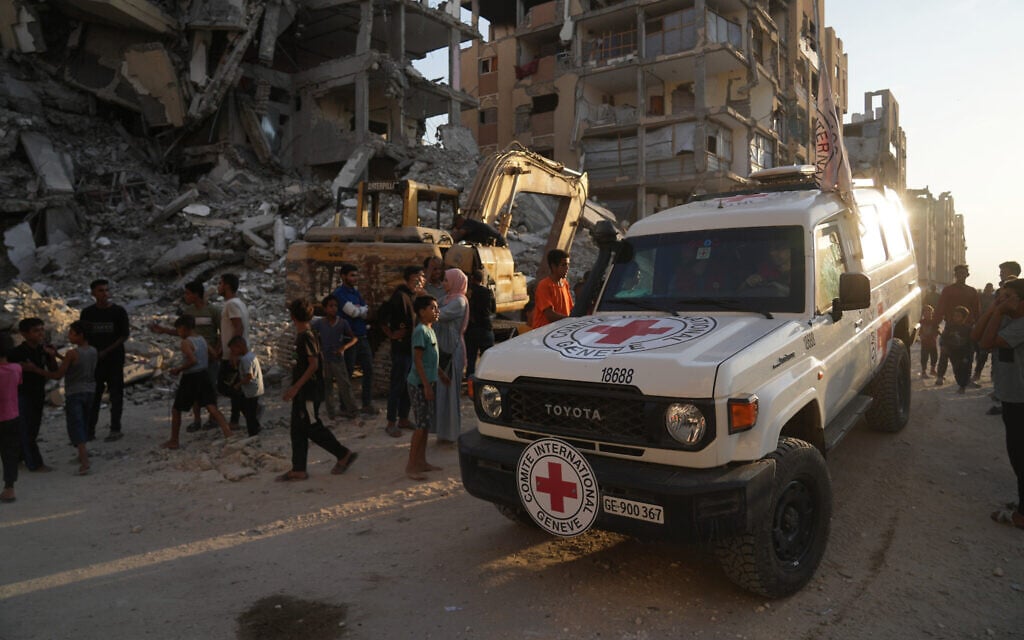 gaza-bodies-red-cross-AP