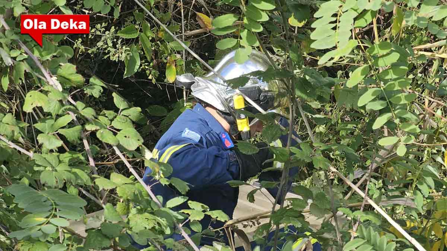 Καστοριά: Θανατηφόρο δυστύχημα με οδηγό που κατέληξε σε χαντάκι 6 Πυροσβέστης απεγκλωβίζει θύμα τροχαίου