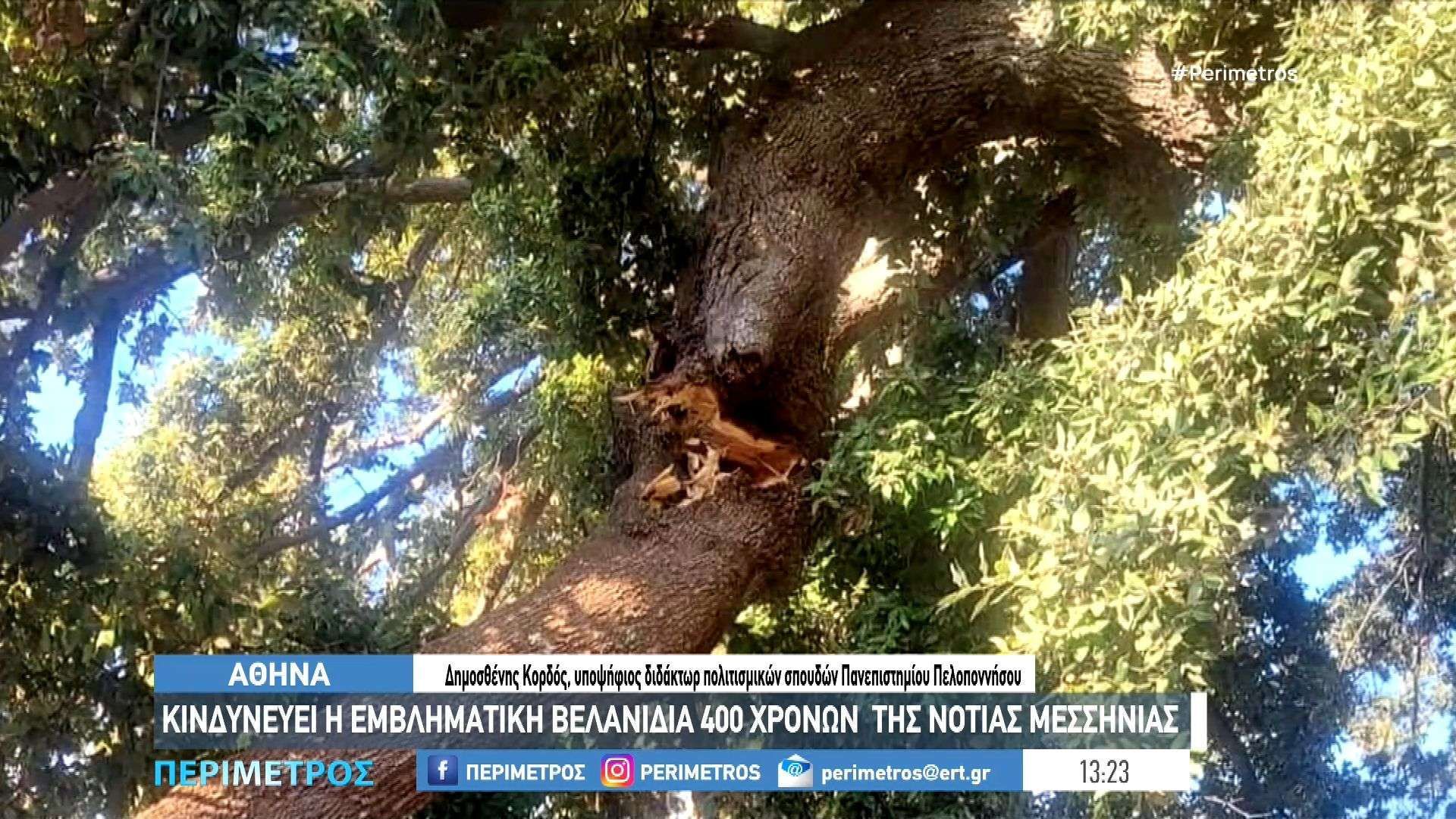 kindyneyei-i-emvlimatiki-velanidia-400-chronon-tis-notias-messinias-1761044611
