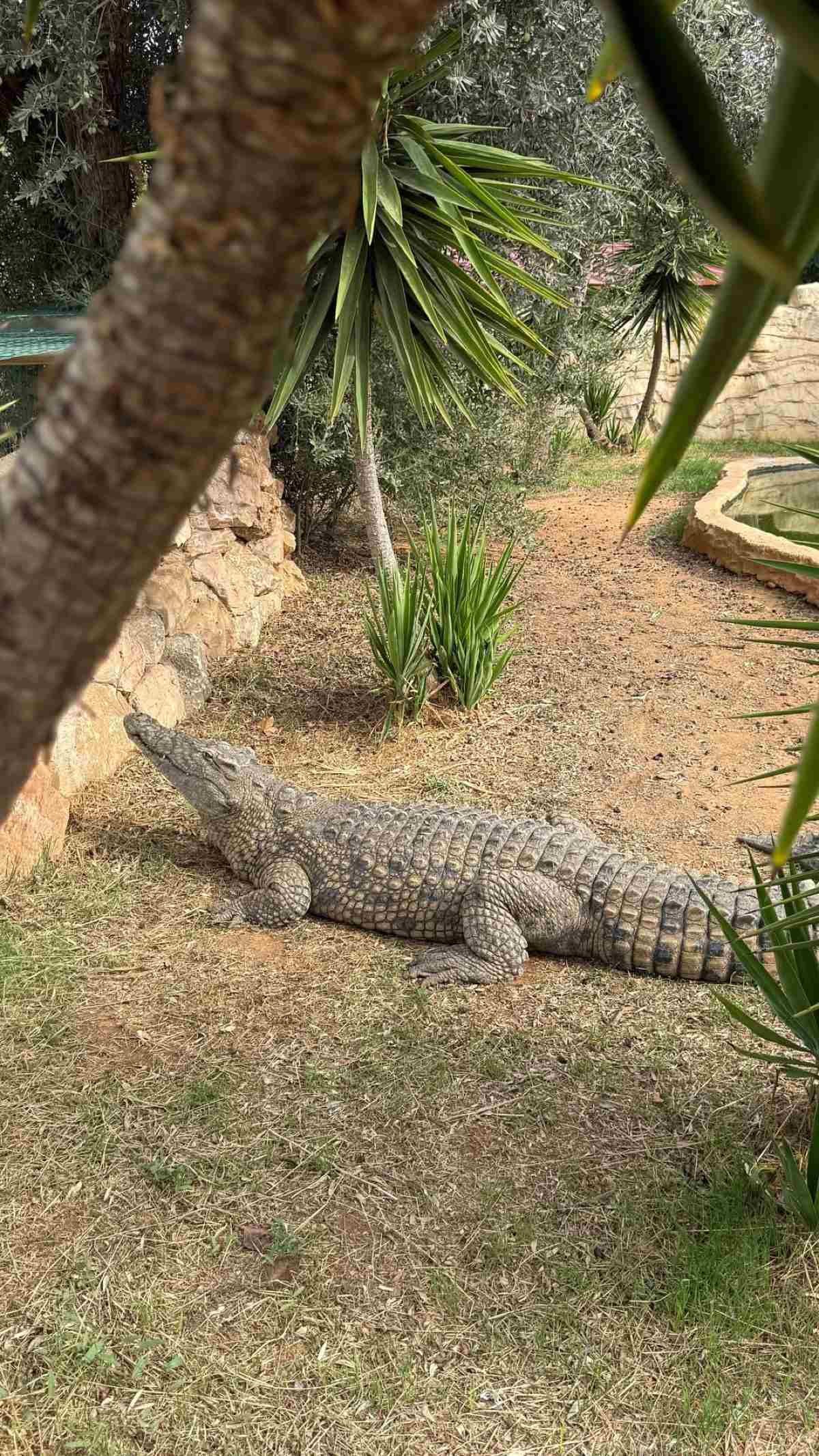Η Κωνσταντίνα Σπυροπούλου στον ζωολογικό κήπο