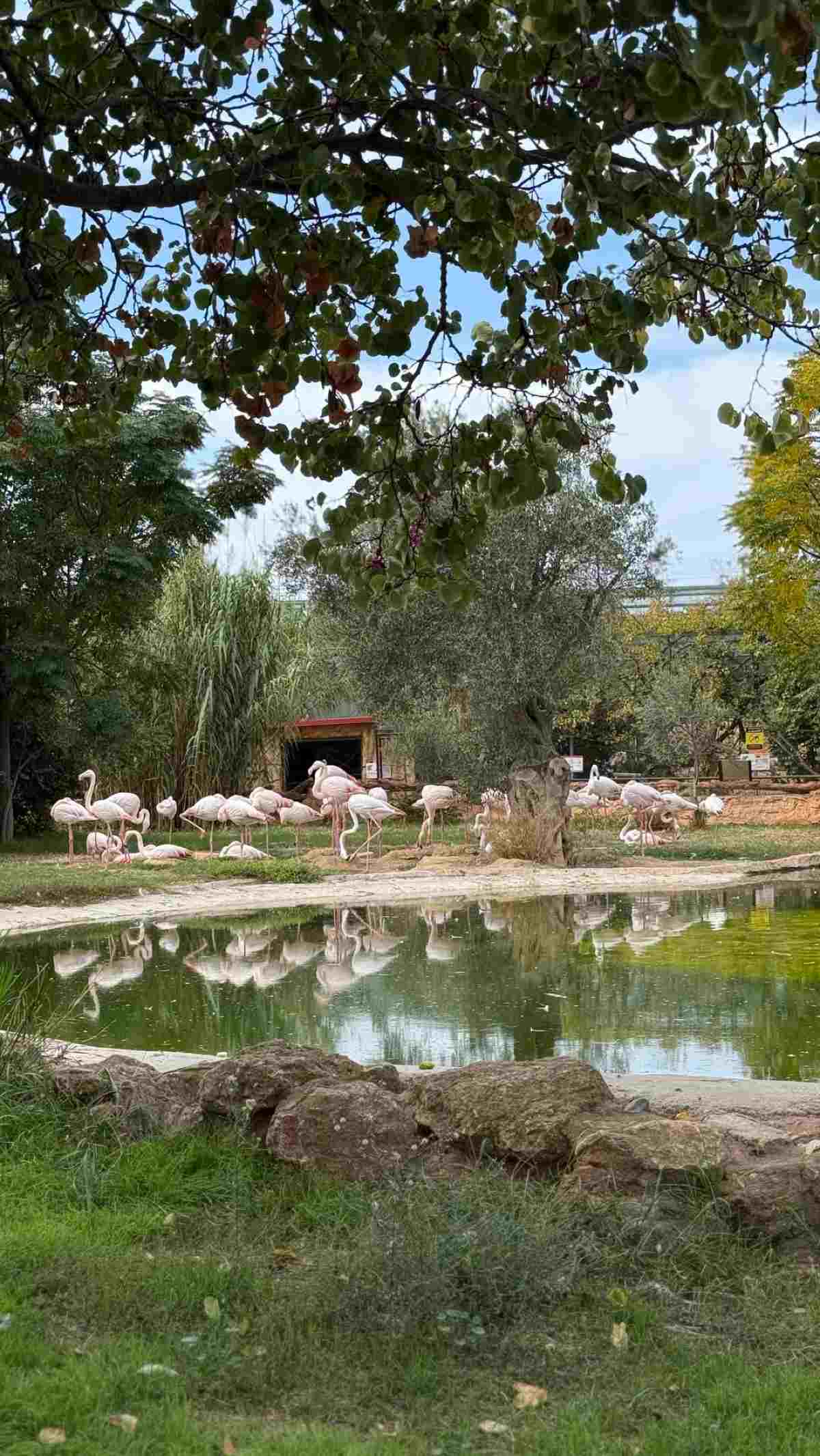Η Κωνσταντίνα Σπυροπούλου στον ζωολογικό κήπο