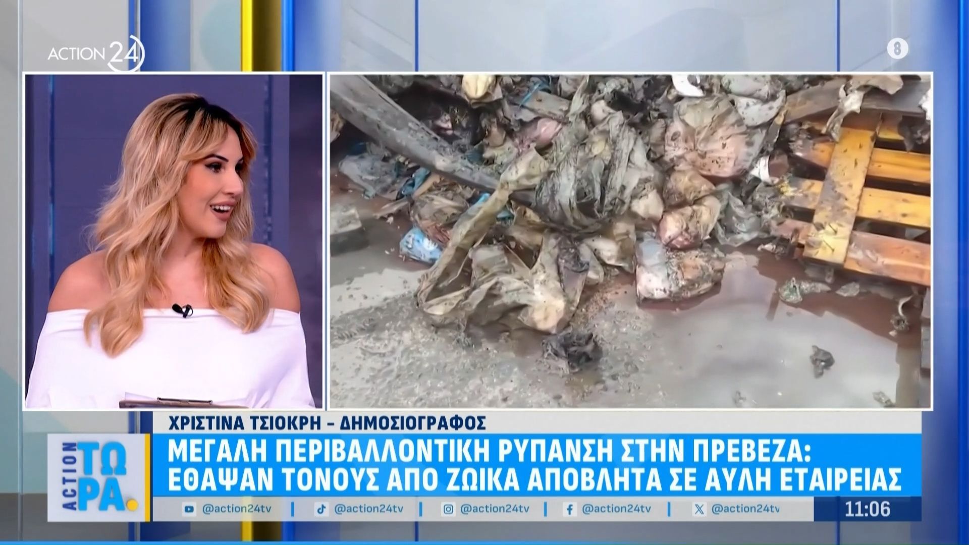 megali-perivallontiki-rypnasi-stin-preveza-ethapsan-tonoys-zoikon-apovliton-se-ayli-etaireias-1761730084