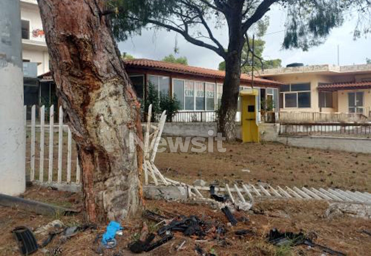Μενίδι: Ο οδηγός που προσέκρουσε σε δέντρο βγήκε μόνος του από το όχημα – Δίνει μάχη για τη ζωή του στο νοσοκομείο 6 Τροχαίο στο Μενίδι