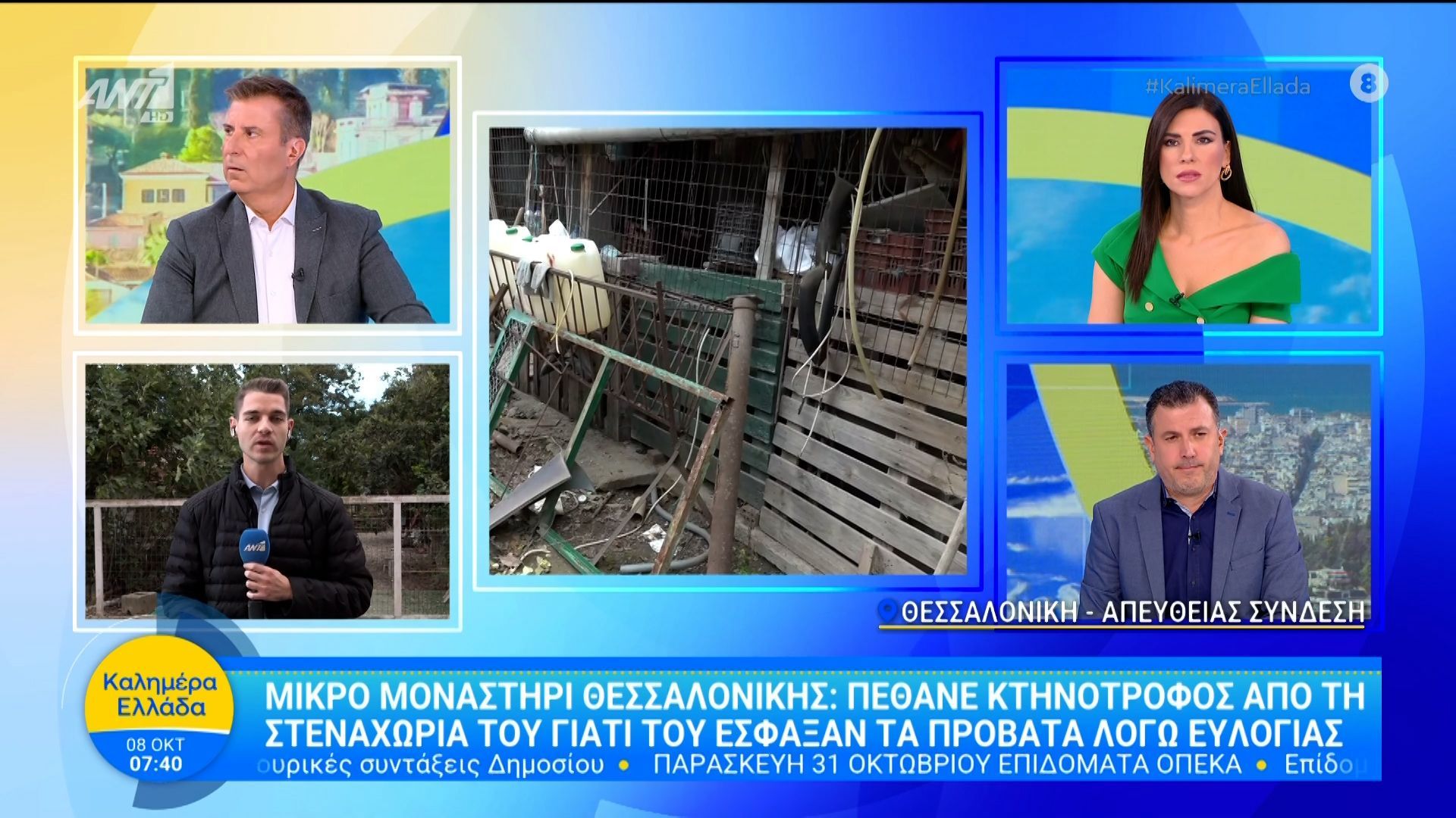 Πέθανε κτηνοτρόφος από τη στενοχώρια του γιατί του έσφαξαν τα πρόβατα λόγω ευλογιάς – Καλημέρα Ελλάδα – 08/10/2025