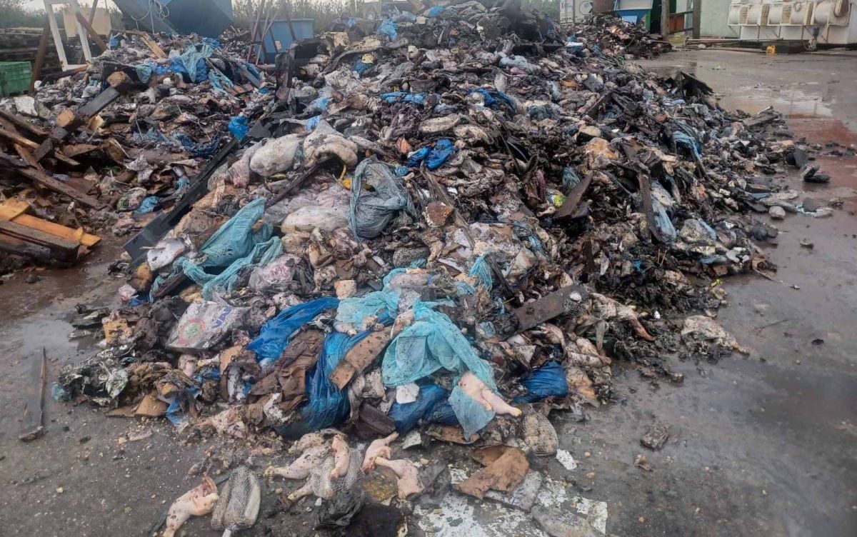 Σοβαρή περιβαλλοντική καταστροφή στην Πρέβεζα: Έθαψαν τόνους ζωικών αποβλήτων σε αυλή επιχείρησης – Τρεις συλληφθέντες 4 Σοβαρή περιβαλλοντική καταστροφή στην Πρέβεζα: Έθαψαν τόνους ζωικών αποβλήτων σε αυλή επιχείρησης – Τρεις συλληφθέντες