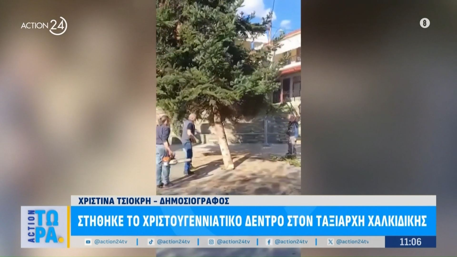 stithike-to-proto-christoygenniatiko-dentro-sti-chalkidiki-oi-prospatheies-ton-elatoparagogon-na-to-stereosoyn-1761816340