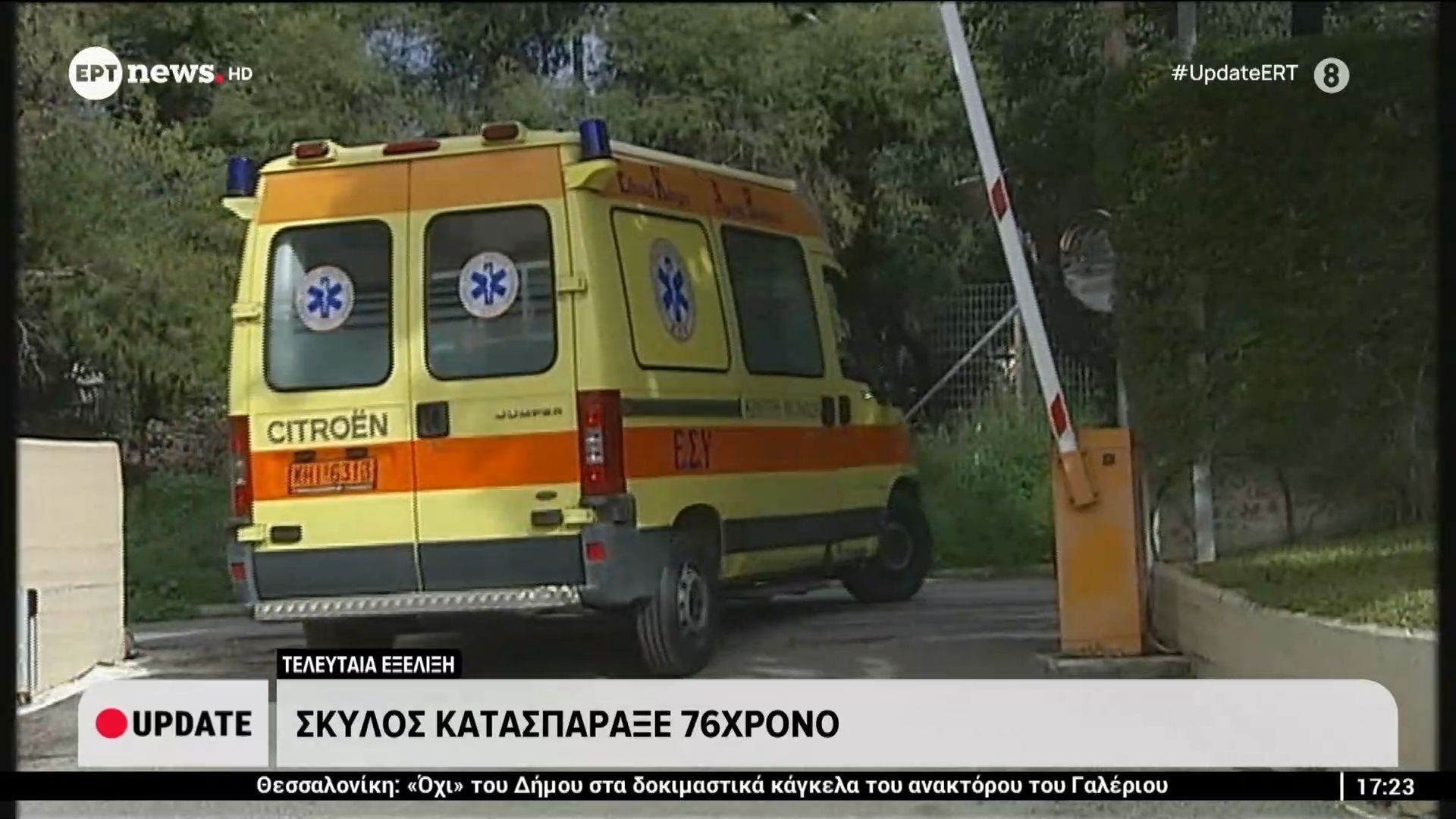 teleytaia-ekseliksi-skylos-katasparakse-76chrono-sti-messinia-1761927273