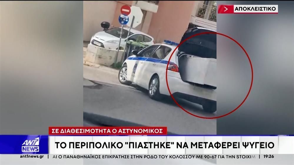 viral-egine-to-vinteo-me-peripoliko-na-metaferei-ena-psygeio-1760981971
