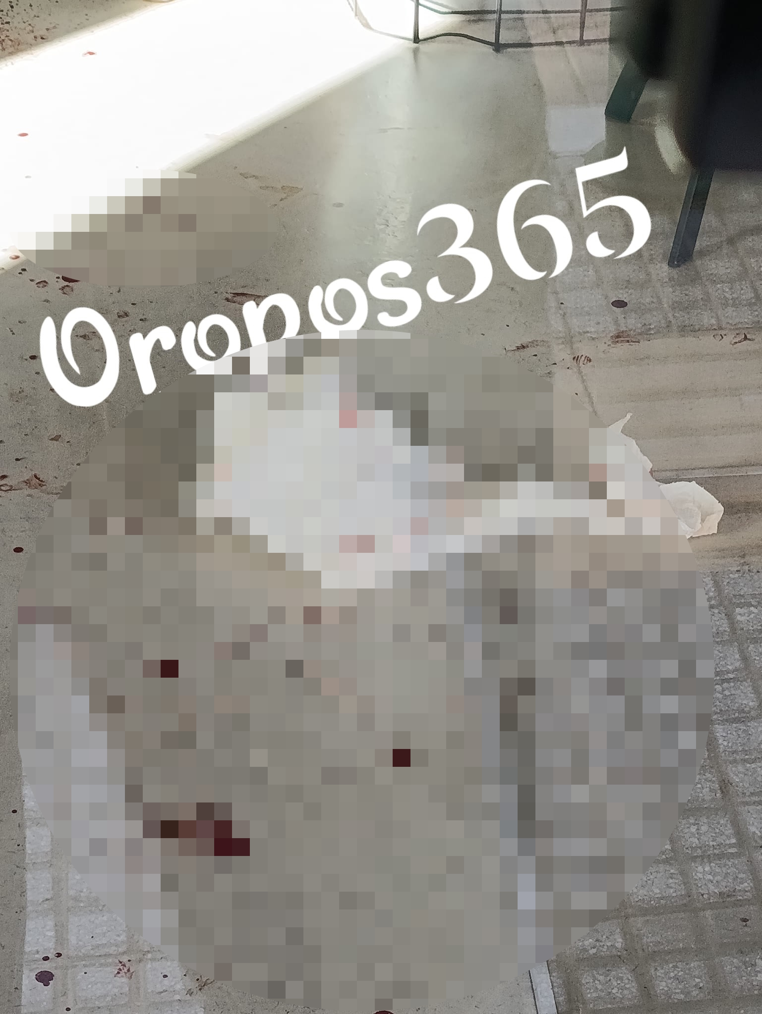 Ωρωπός: Κουκουλοφόροι επιτέθηκαν σε κομμωτήριο και χτύπησαν με ρόπαλα και σφυρί τον ιδιοκτήτη 7 Ωρωπός: Κουκουλοφόροι επιτέθηκαν σε κομμωτήριο και χτύπησαν με ρόπαλα και σφυρί τον ιδιοκτήτη