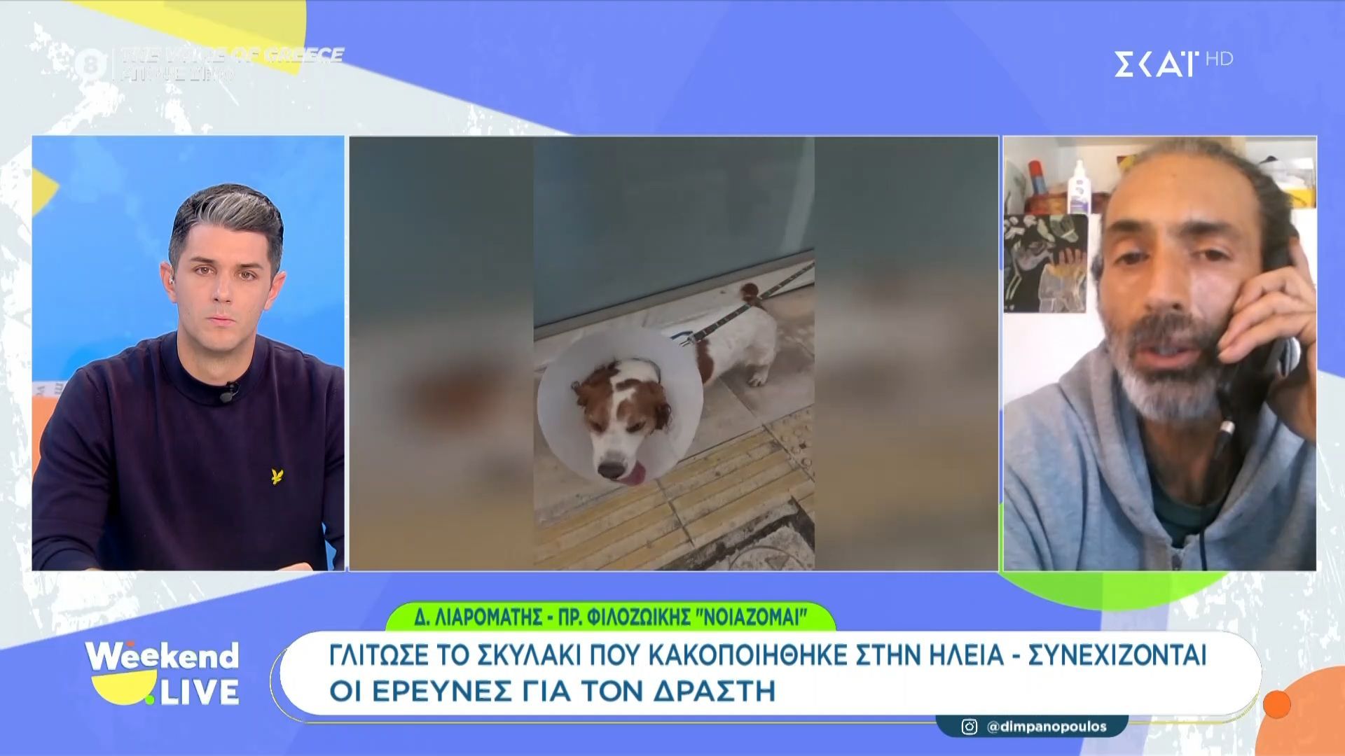 Γλίτωσε-το-σκυλάκι-που-κακοποιήθηκε-στην-Ηλεία