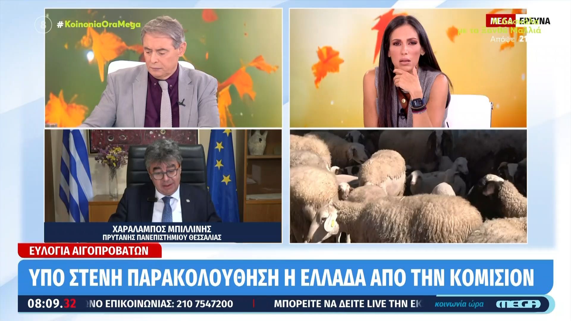 Ευλογιά-αιγοπροβάτων-Υπό-στενή-παρακολούθηση-η-Ελλάδα-από-την-Κομισιόν