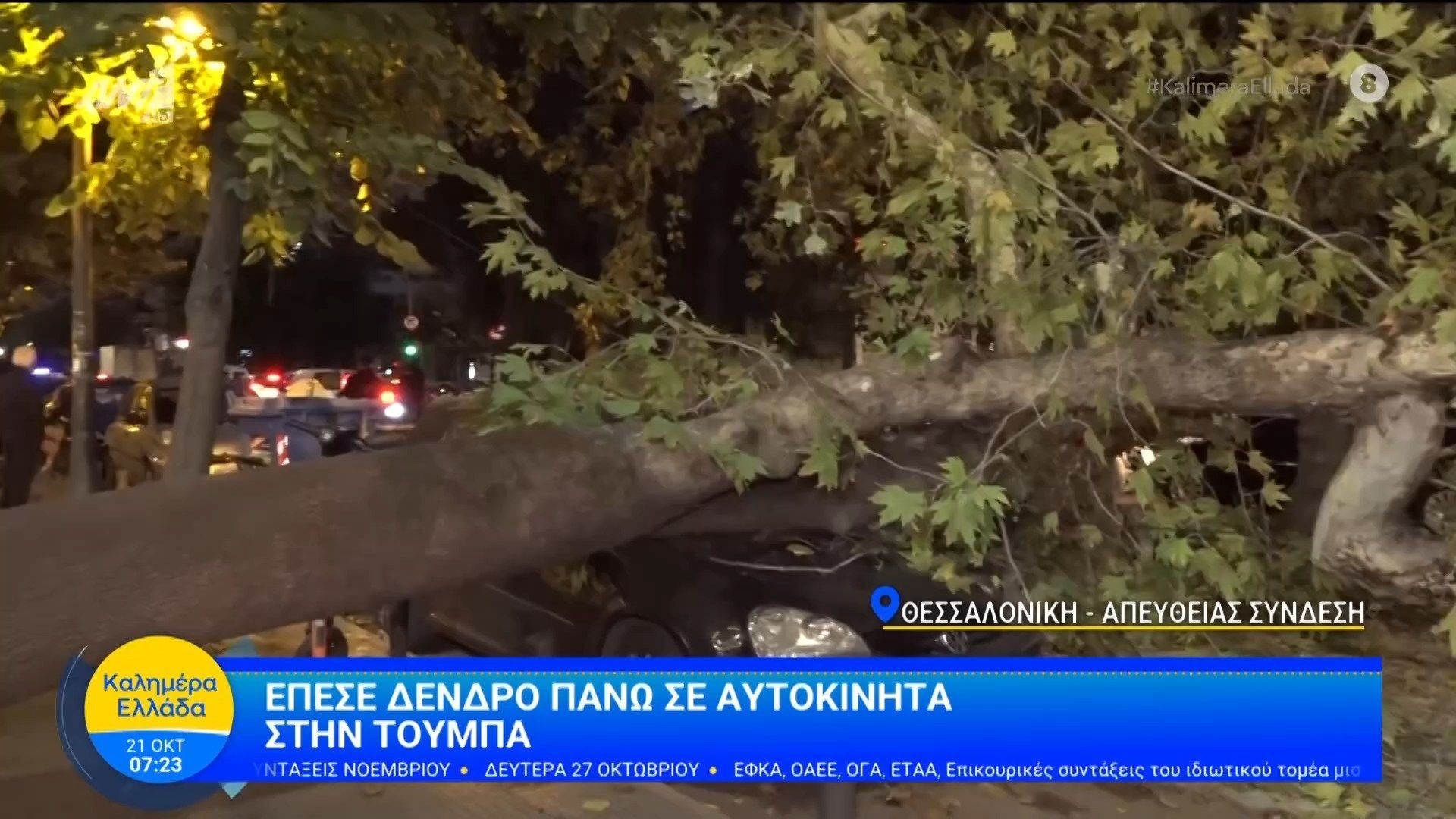Θεσσαλονίκη-Έπεσε-δέντρο-πάνω-σε-αυτοκίνητα-στην-Τούμπα-Καλημέρα-Ελλάδα-21102025