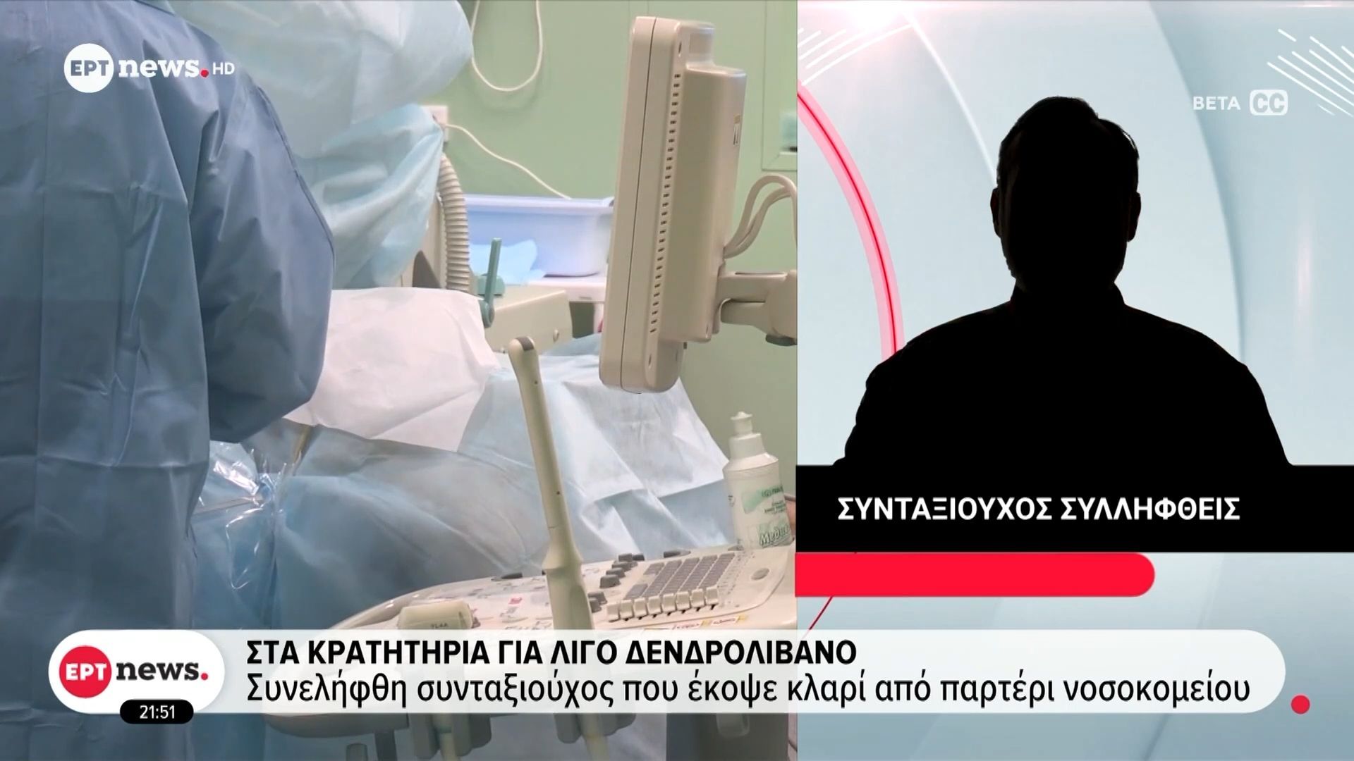 Θεσσαλονίκη: Απίστευτη περιπέτεια για συνταξιούχο – Τον συνέλαβαν για ένα κλαράκι δενδρολίβανο