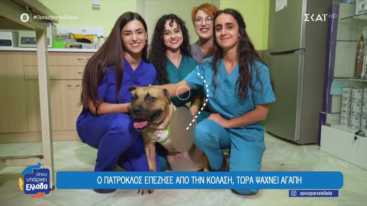 Καρδίτσα-48χρονος-έσερνε-σκύλο-δεμένο-στο-αυτοκίνητο-του-Ο-Πάτροκλος-επέζησε-και-ψάχνει-αγάπη