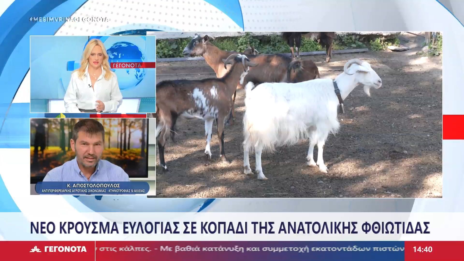 Ο-Αντιπεριφερειάρχης-Αγροτικής-Οικονομίας-Κτηνοτροφίας-και-Αλιείας-Κώστας-Αποστολόπουλος-στο-STAR