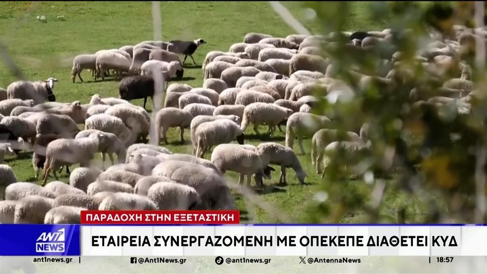 ΟΠΕΚΕΠΕ-Παραδοχή-στην-Εξεταστική-Ερωτήματα-για-την-ασφάλεια-στοιχείων-των-αγροτών