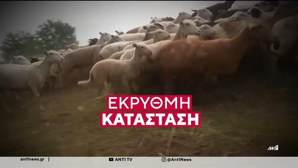 ΟΠΕΚΕΠΕ – Τσιάρας: Ξεκινούν οι πληρωμές από την ερχόμενη εβδομάδα