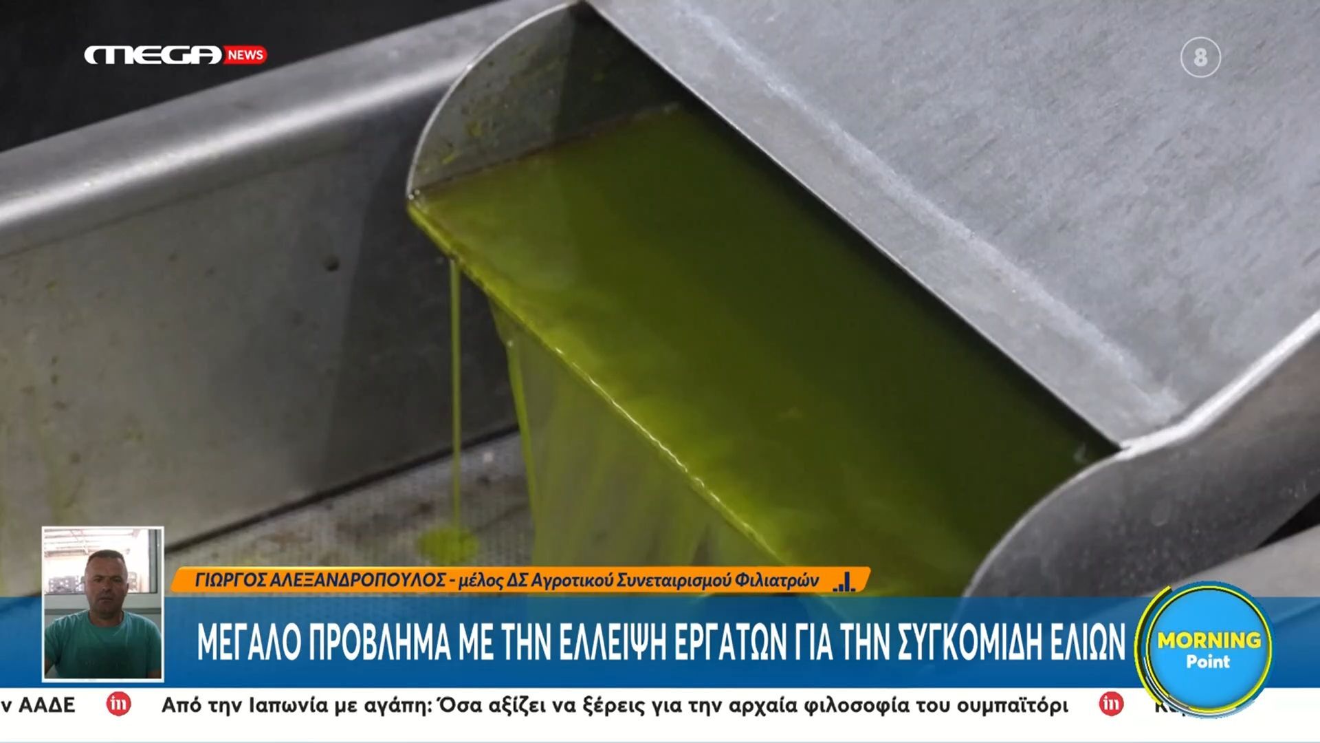 Πρόβλημα-με-την-έλλειψη-εργατών-για-την-συγκομιδή-ελιών