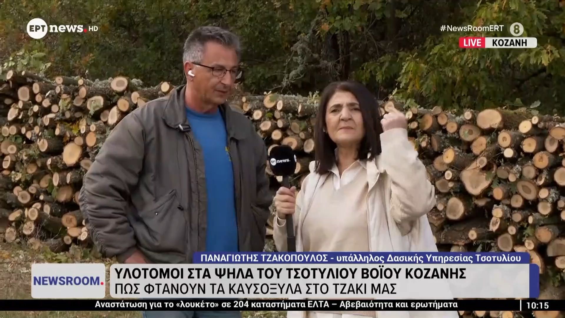 Υλοτόμοι-στα-ψηλά-Τσοτύλιου-Βοΐου-Κοζάνης-Πώς-φτάνουν-τα-καυσόξυλα-στο-τζάκι-μας