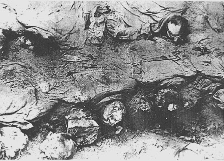 Βασίλι Μιχαήλοβιτς Μπλοχίν – Ο δήμιος των σοβιετικών μυστικών υπηρεσιών