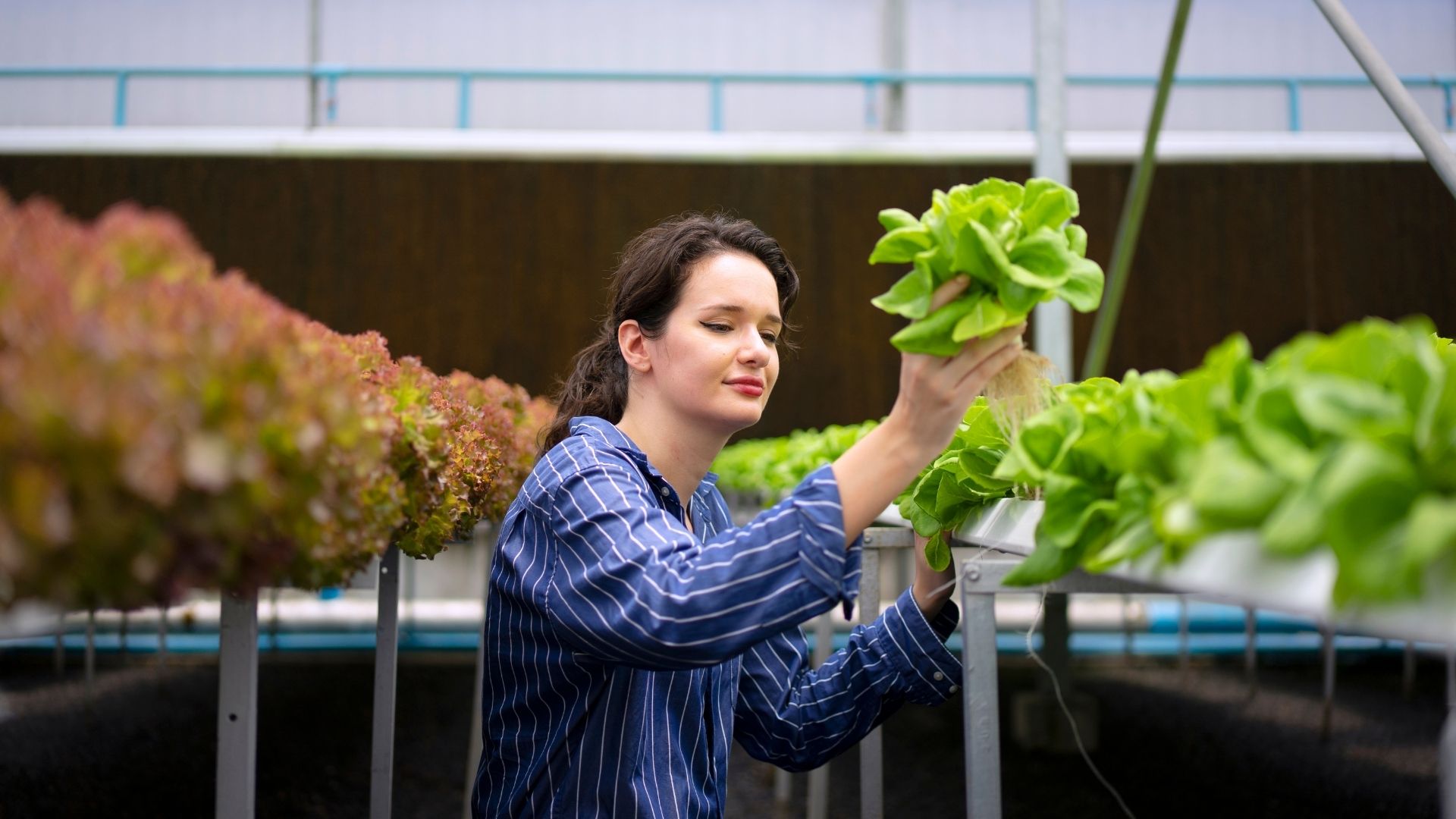 Τα «οικολογικά» επαγγέλματα που χαράζουν την καριέρα του μέλλοντος 6 Τα «οικολογικά» επαγγέλματα που χαράζουν την καριέρα του μέλλοντος