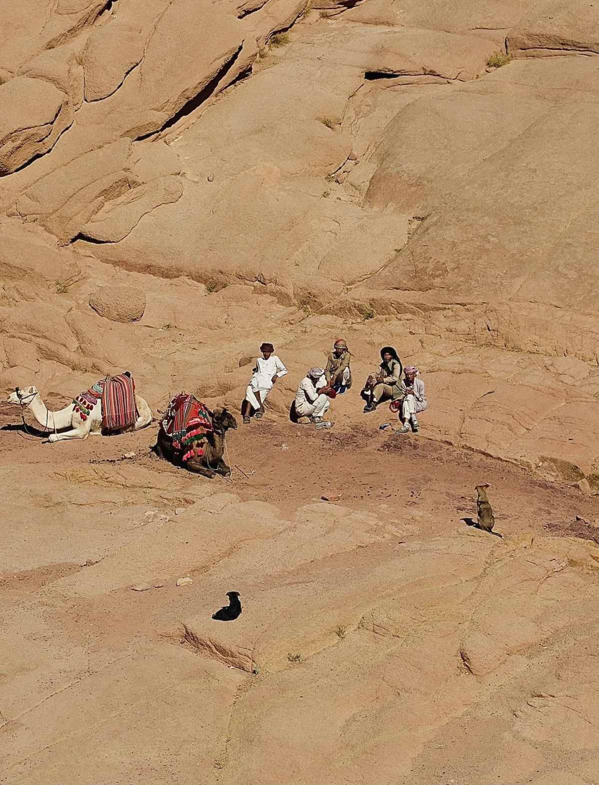 Τζένη Μπαλατσινού – Βασίλης Κικίλιας: Οικογενειακή εκδρομή στην Αίγυπτο με τον γιο τους (Εικόνες) 21 Τζένη Μπαλατσινού – Βασίλης Κικίλιας: Ταξίδι στην Αίγυπτο με τον γιο τους (Φωτογραφίες)