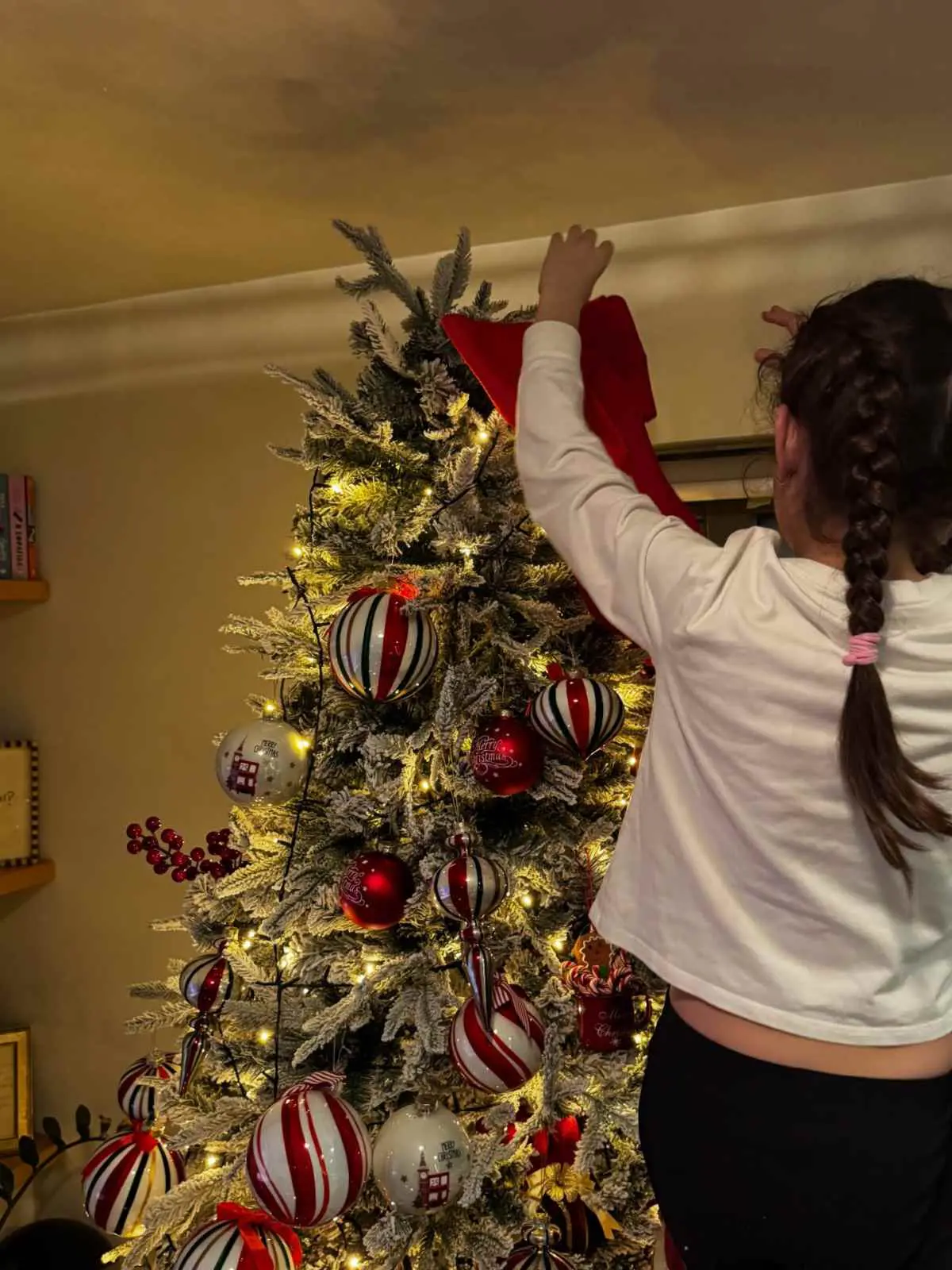 Μπάρκα: Στόλισε το σπίτι της - Η βαφτισιμιά της ανέβηκε στην κορυφή του δέντρου (Φωτογραφίες)