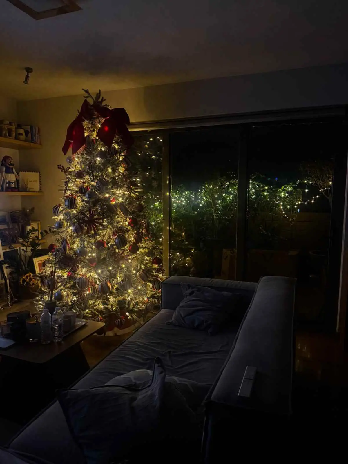 Μπάρκα: Στόλισε το σπίτι της - Η βαφτισιμιά της ανέβηκε στην κορυφή του δέντρου (Φωτογραφίες)