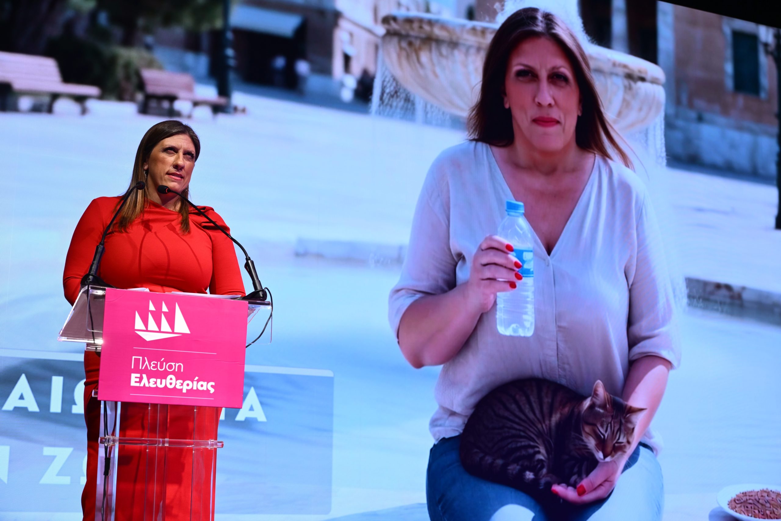 Ζωή Κωνσταντοπούλου, ΑΙ