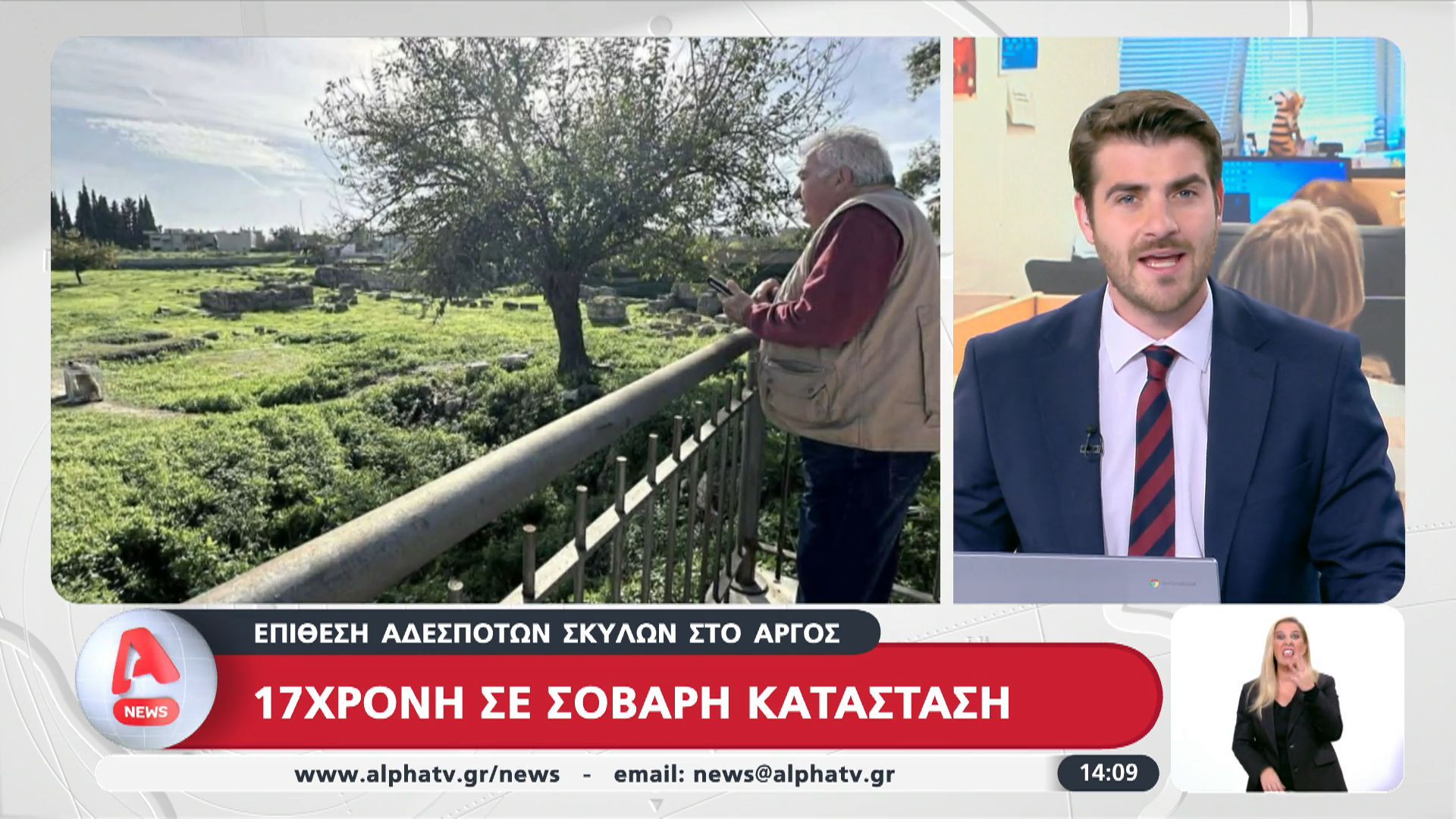 ageli-adespoton-skylon-epitethike-se-17chrono-koritsi-sto-argos-1763730468