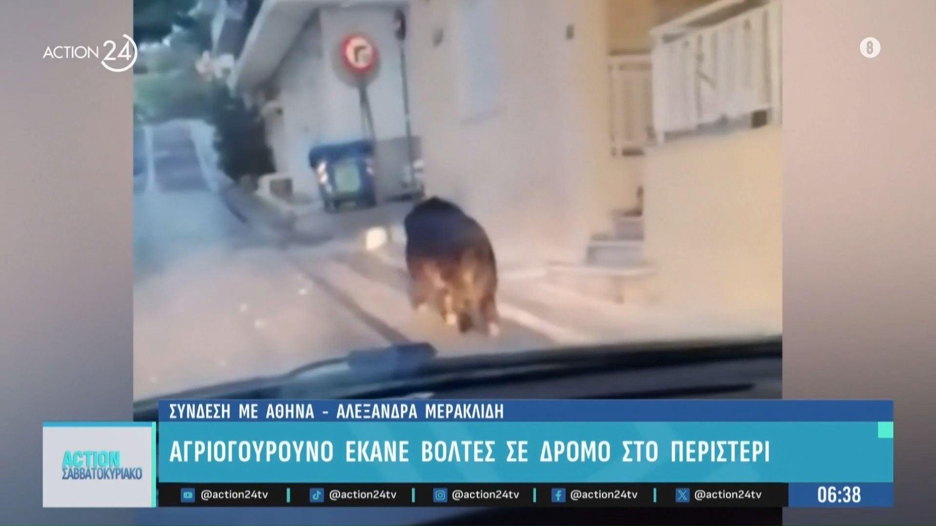 Αγριoγούρουνο έκανε βόλτες σε δρόμο στο Περιστέρι