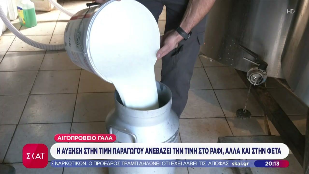 aigoproveio-gala-i-ayksisi-stin-timi-paragogoy-anevazei-tin-timi-sto-rafi-alla-kai-stin-feta-1763232815