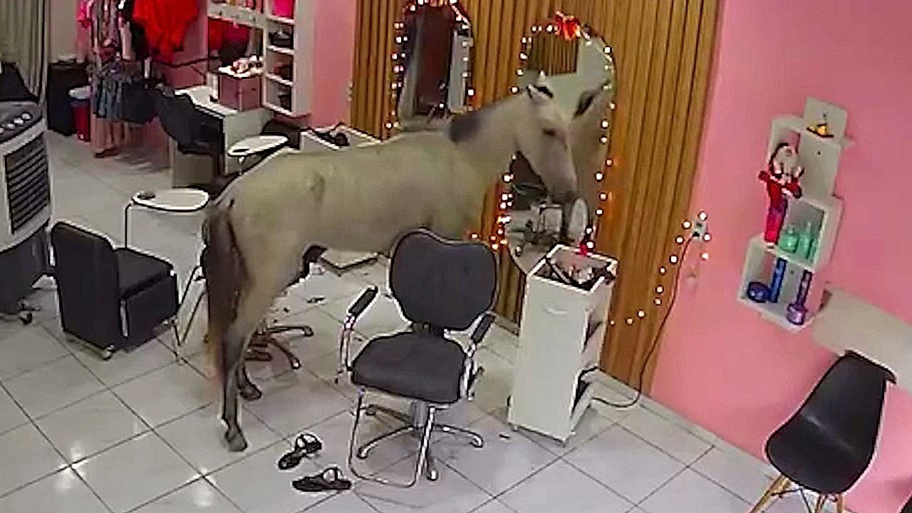 alogo-eisvallei-se-kommotirio-gia-ena-chtenisma-1763387084