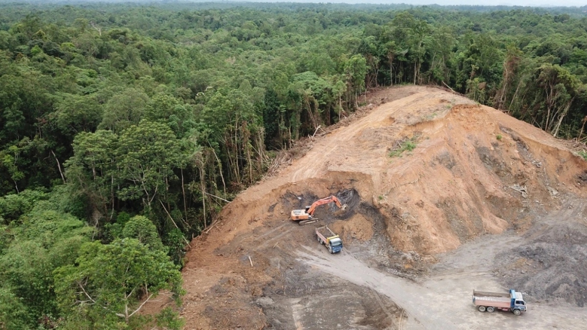 Βραζιλία: Ιστορική μείωση εκπομπών αερίων χάρη στην επιβράδυνση της αποψίλωσης δασών