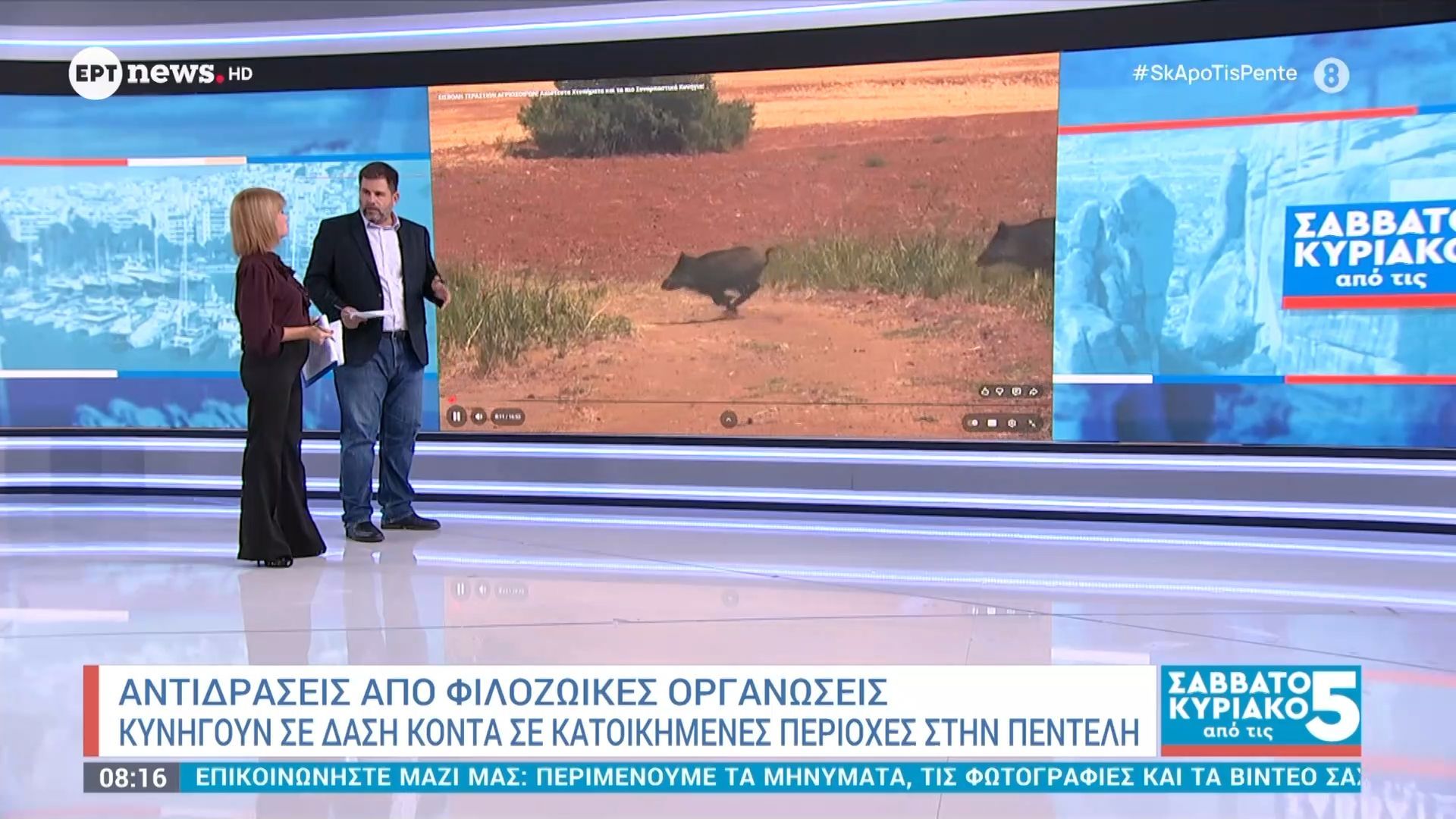 antidraseis-apo-filozoikes-organoseis-kynigoyn-se-dasi-konta-se-katoikimenes-perioches-stin-penteli-1763275240