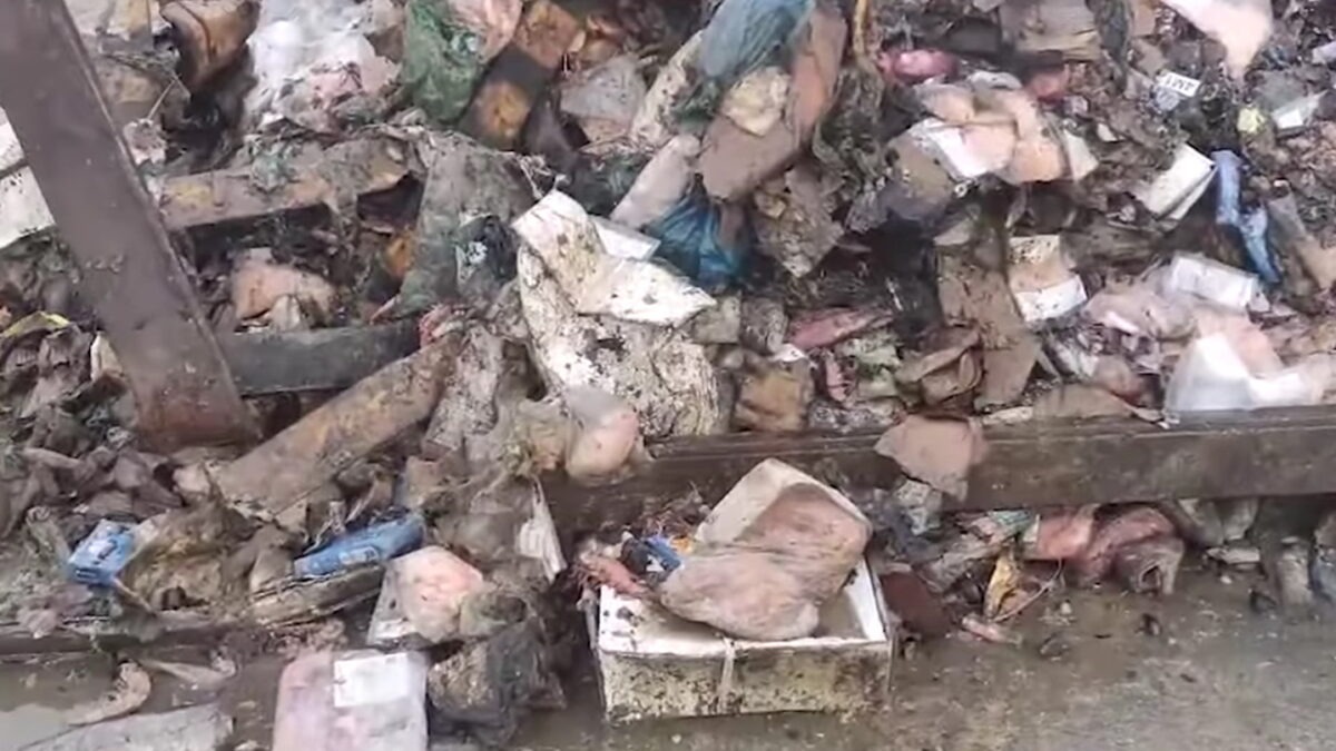 apovlita-grab-1200x675-1