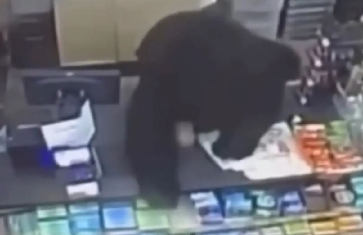 Βίντεο: Αρκούδα μπήκε σε μαγαζί και καταδίωξε 11χρονο – «Νόμιζα ότι θα με κατασπαράξει»
