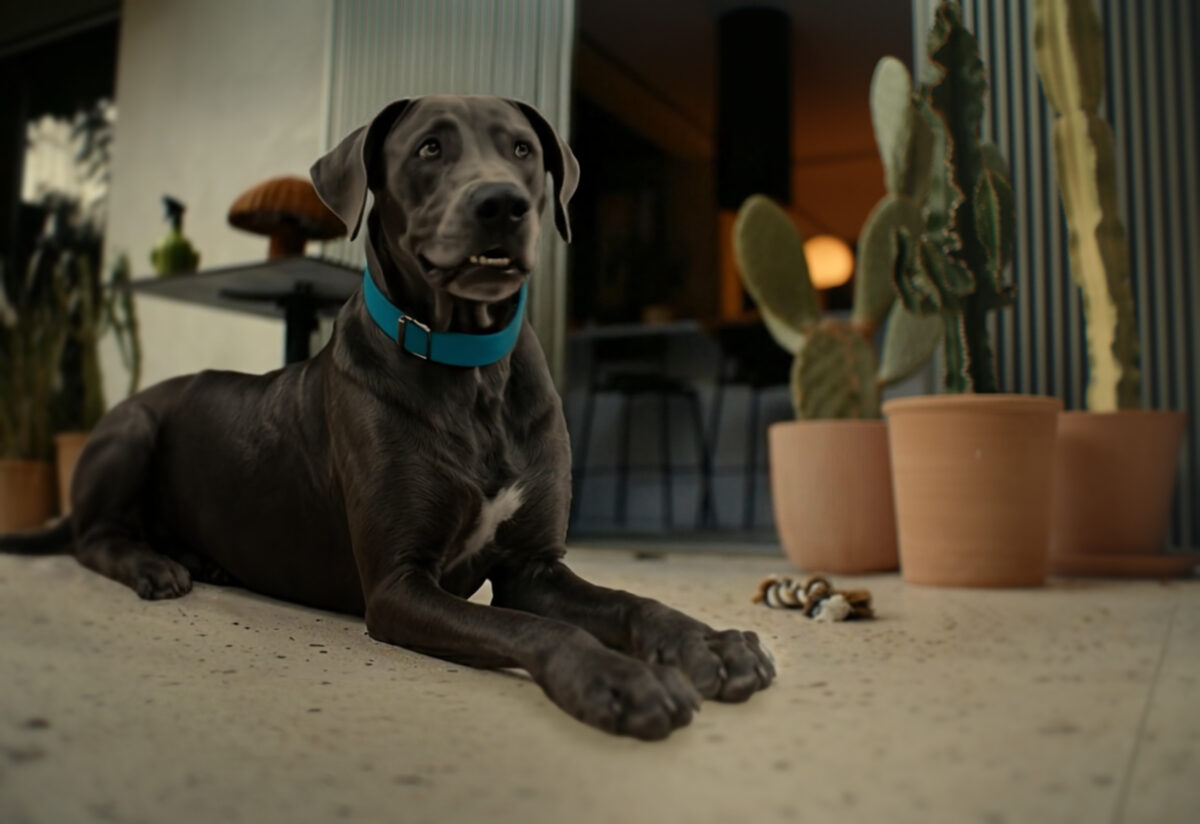 "Το χρονικό του Μπούμπη"